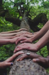 Diversity and Inclusion